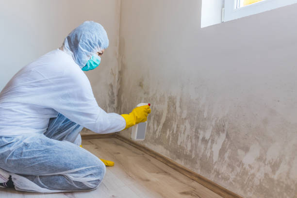 Licensed Crawl Space Mold Removal service in Westfield, NJ - WQB Mold Removal
