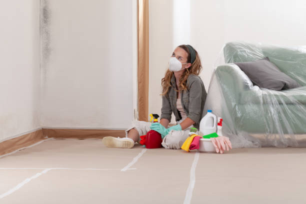 Reliable Crawl Space Mold Removal contractor in Westfield, NJ by WQB Mold Removal