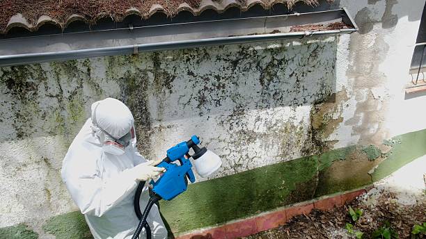Top rated local Crawl Space Mold Removal specialists in Westfield, NJ